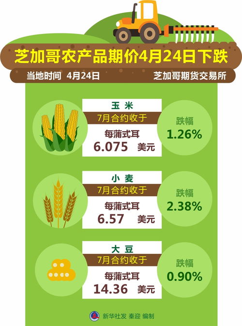 图表 芝加哥农产品期价4月24日下跌