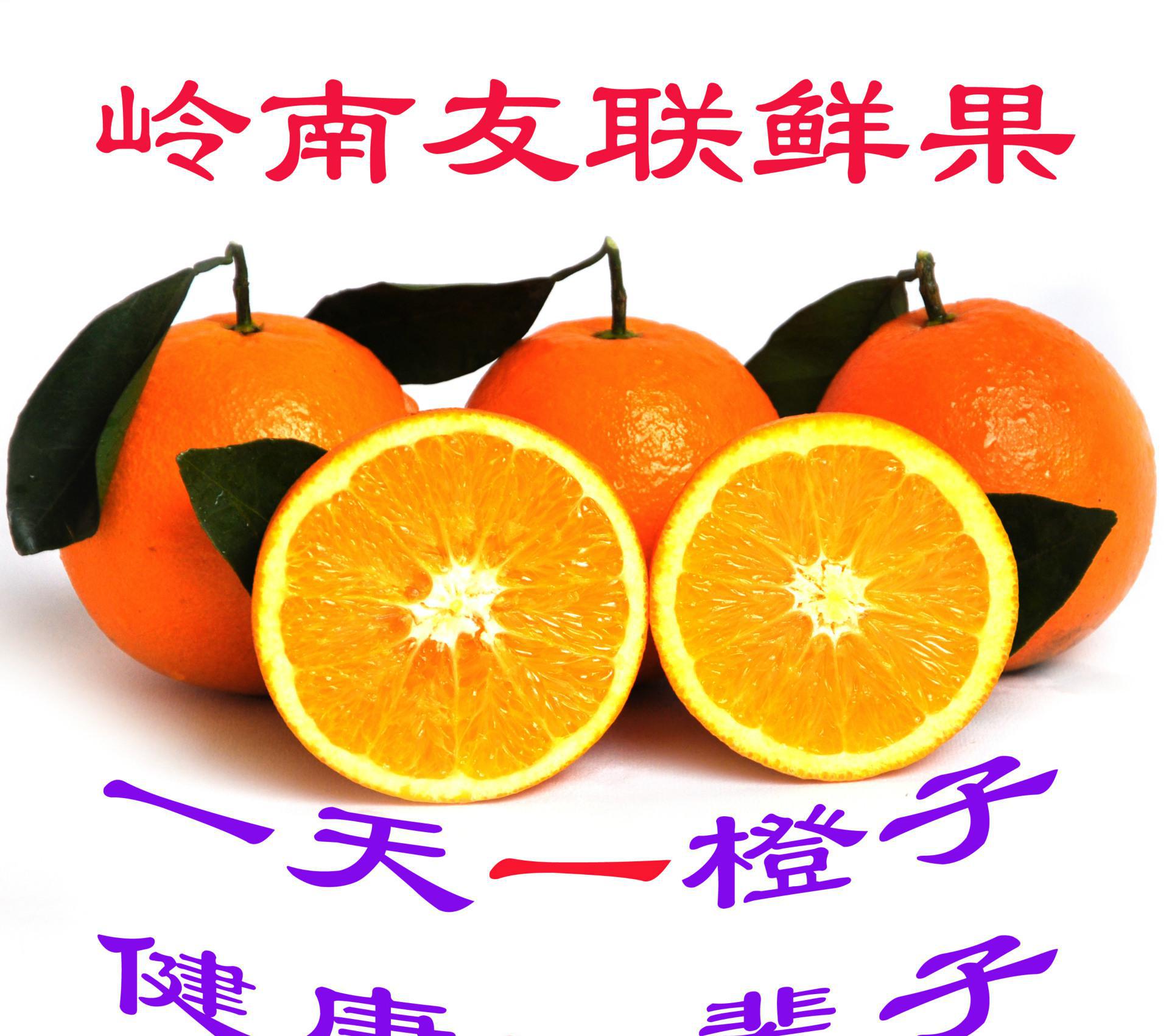 橙子 赣南脐橙 江西脐橙 歪歪橙 寻乌脐橙 美容脐橙